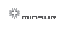 Logo Minsur